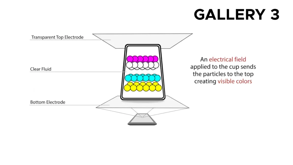 Gallery 3 available on RPP